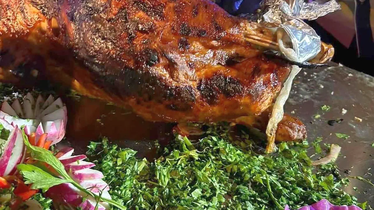 الفندق دايف ان ريزورت - شرم الشيخ